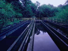 Water Treatment Trays - at dusk