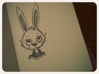 bunny doodle