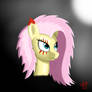 Fluttershy