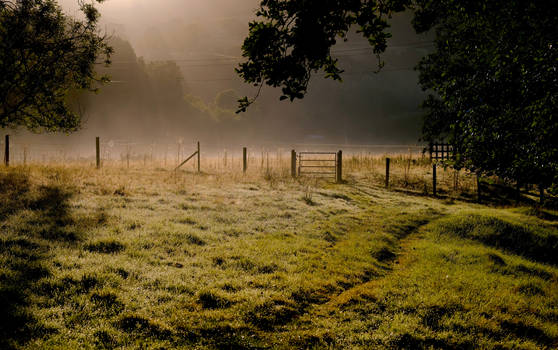 The sheep fields.  Autumn 2022.