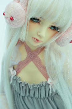 Frosted Pink