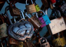 Love locked in Paris