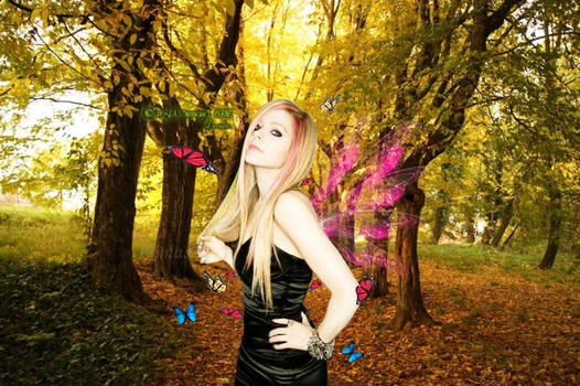 Wallpaper Avril Lavigne