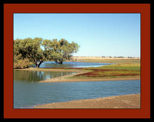 Backwater scene