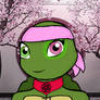 Hamato Chikara