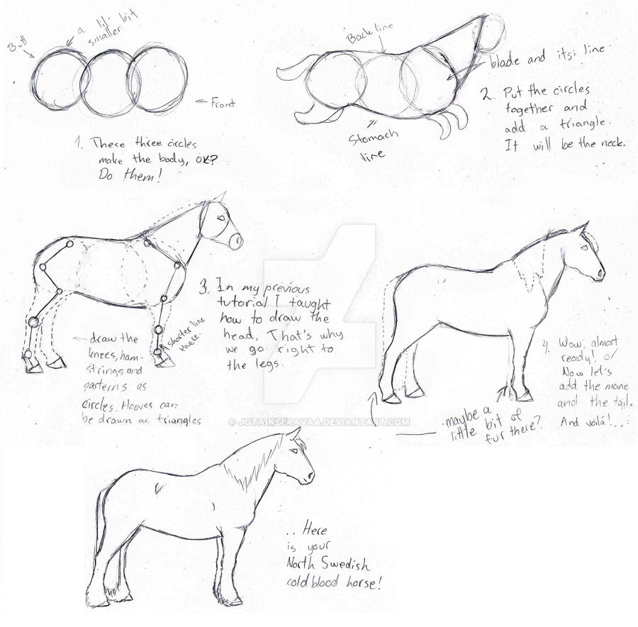 Horse tutorial: Full body