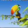 Thallos Toucan