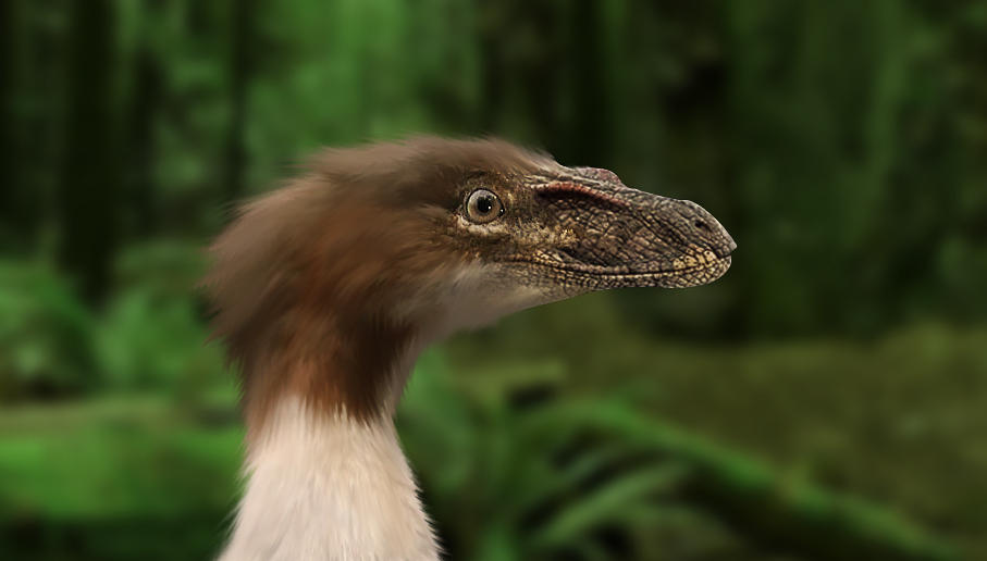 Small Raptor by CROCK-SPOT on DeviantArt