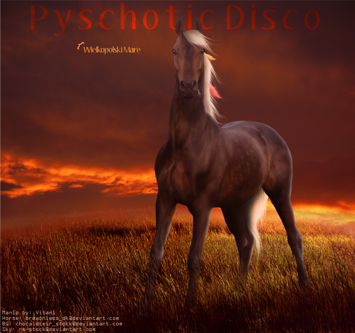 Pychotic Disco