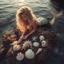 Mermaid At Mermaid Cove And Sea Shells