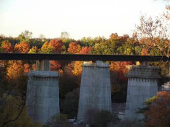 Autumn Bridge