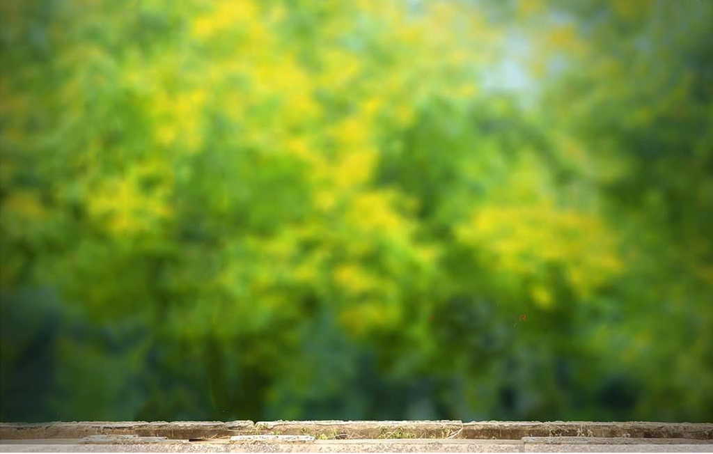 Green blur background by DhirajSardarCreation on DeviantArt