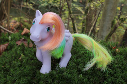 My little Pony - Tickle (3)