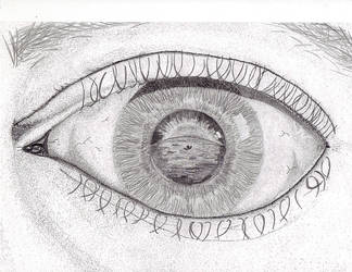 Eye