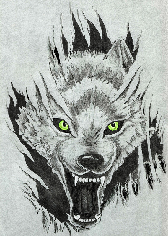 wolf