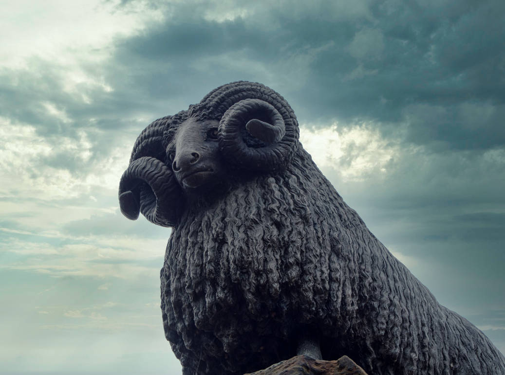 Moffat Ram by weefrank on DeviantArt