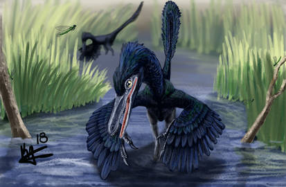 buitreraptor gonzalezorum