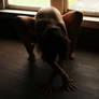 GwenW02, Floor Work XLIV
