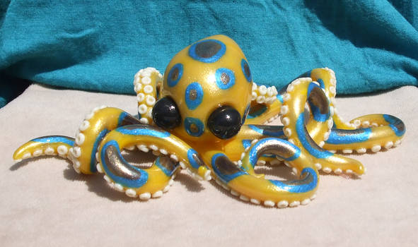 Meera the Blue Ringed Octopus