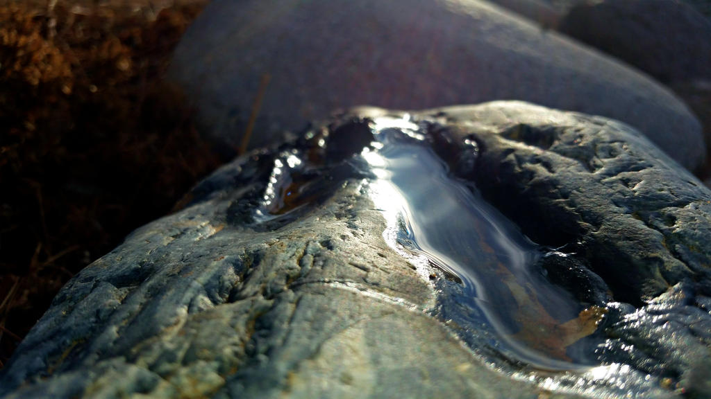 Rock Puddle by MetutusUnum on DeviantArt
