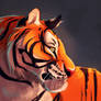 Tiger - Speedpaint for Lighting Practice