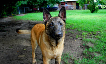 Does this mud make me look cute?