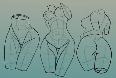 Anatomy Practice