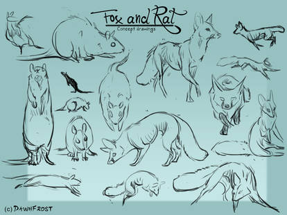 Fox and Rat concept sketches