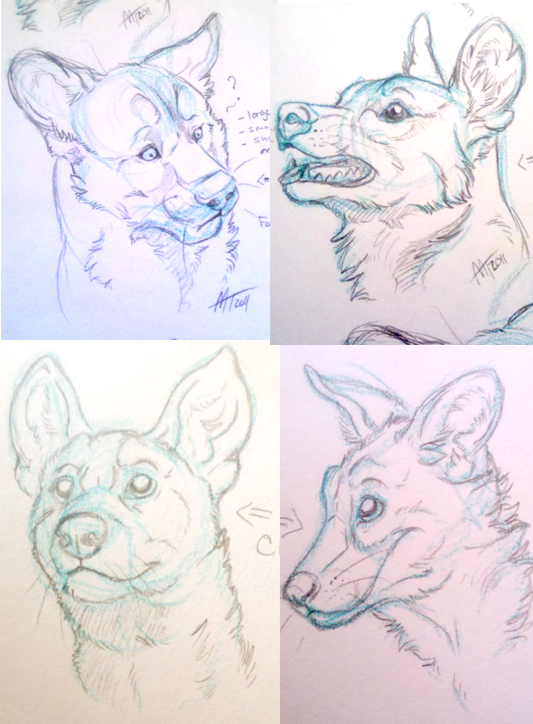 Quick Wild dog sketches