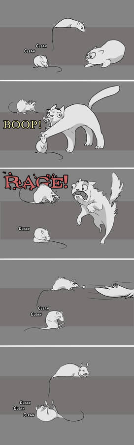 Cat vs. Rats