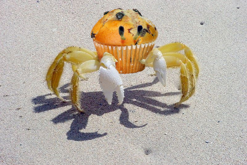 Muffin Crab