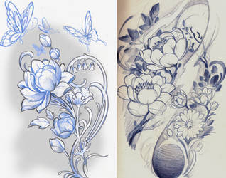 lotus sketchs