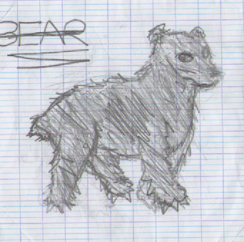 a bear