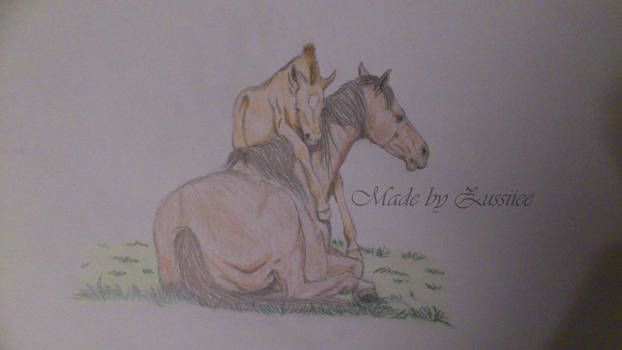 Foal And Mare