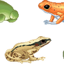 Froggies