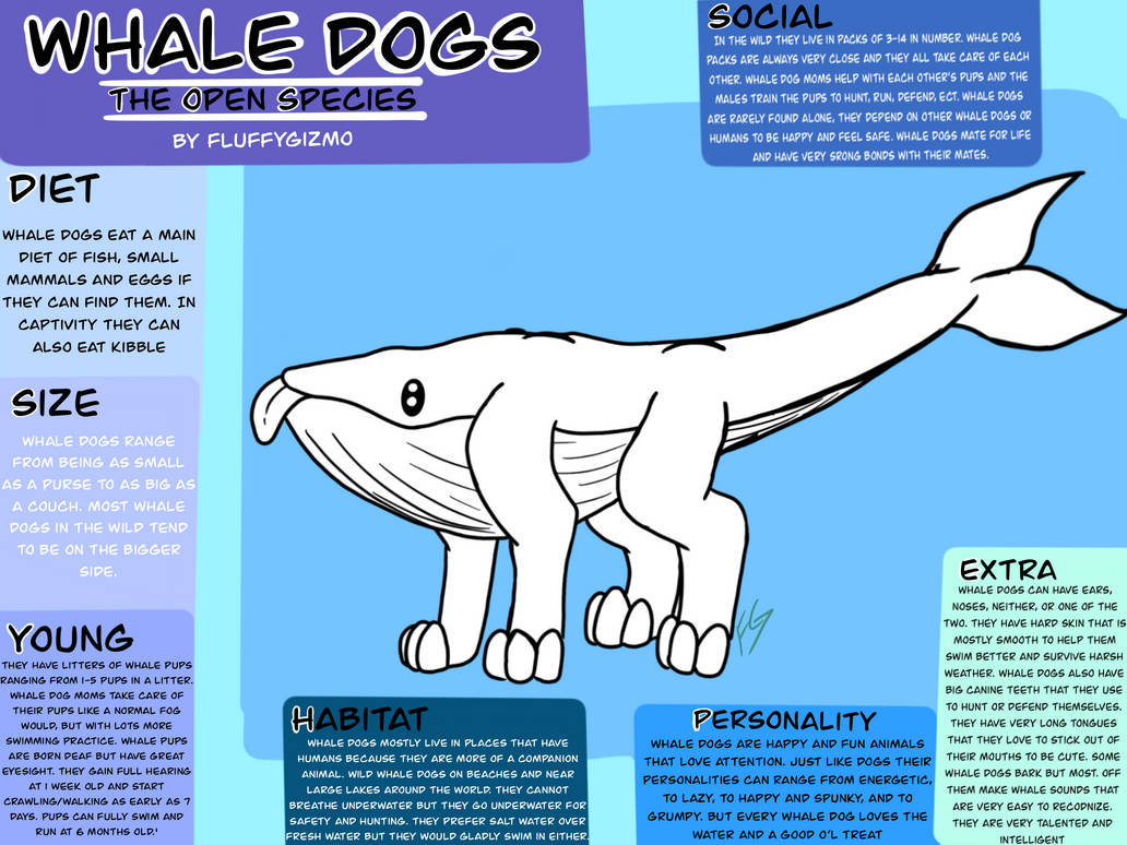 Species Reference Sheet By FluffyGizmo On DeviantArt