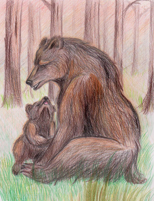 Bear mother