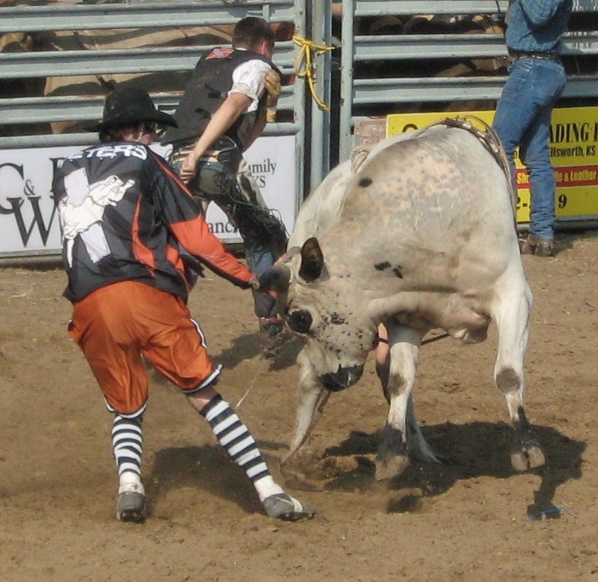 Rodeo Hero by Occidentalowl on DeviantArt