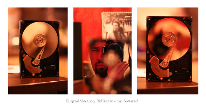 DigitalAnalog Reflection