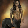 centaur 