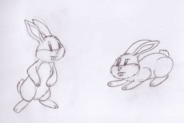 Doodle: Bunnies
