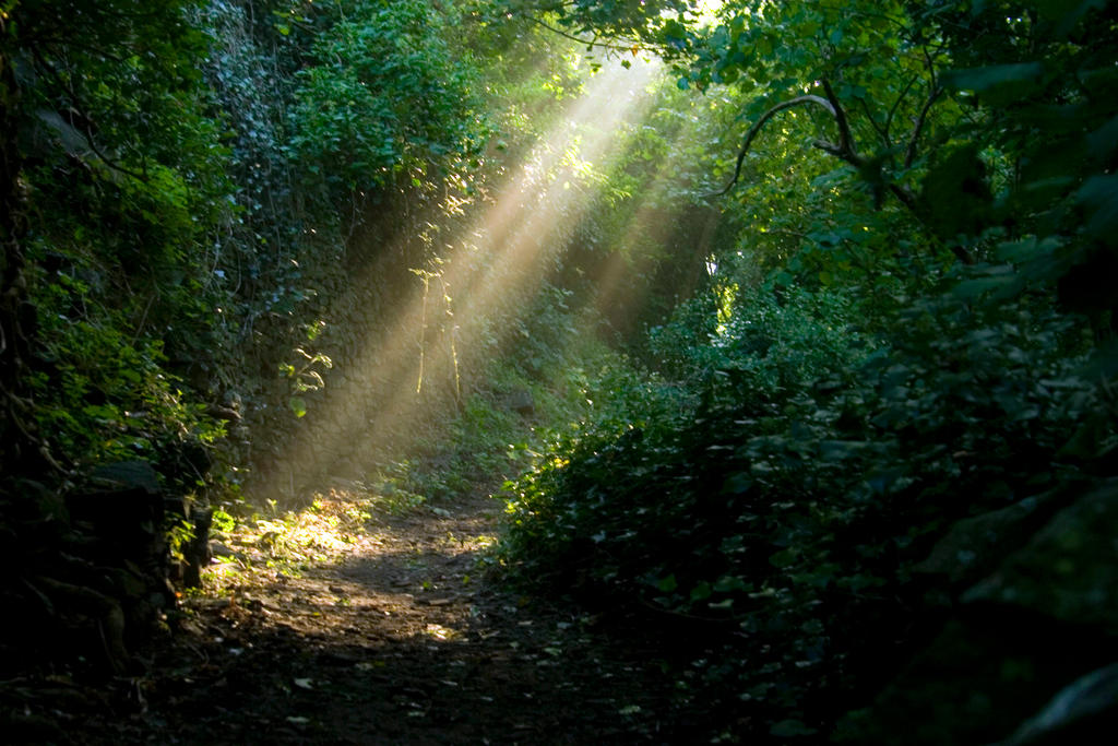 Suns rays stock by A68Stock