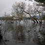 Flooded lake stock