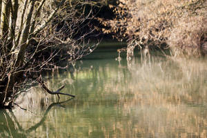 River stock 2