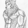 Lion Wild Beast Sketch