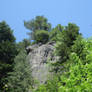 Rocks and trees II