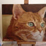 Cat Portrait Commission