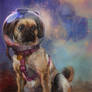 Space Puggle