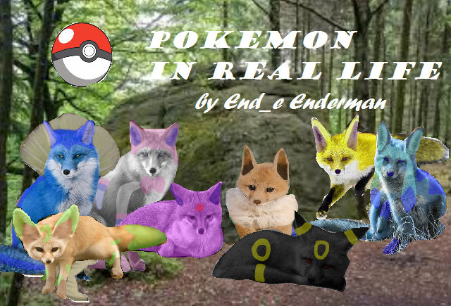 Pokemon Reeal Pokemon In Real Life. by AndieChatz on DeviantArt