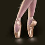 Ballet Shoes